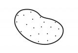 Pomme De Terre Coloriage Coloriage Pomme De Terre Img
