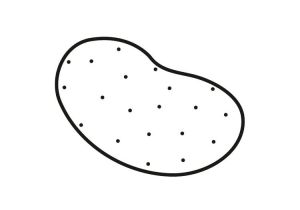 Pomme De Terre Coloriage Coloriage Pomme De Terre Img