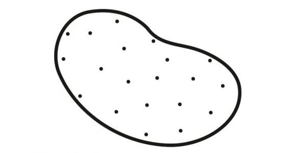 Pomme De Terre Coloriage Coloriage Pomme De Terre Img