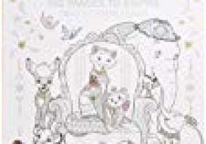 Princesses Disney 100 Coloriages Anti Stress Disney Princesses 100 Coloriages Anti Stress Amazon