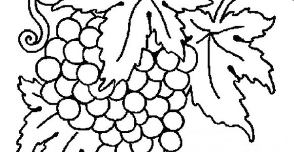 Raisin Dessin Coloriage Coloriage Raisin En Ligne Gratuit   Imprimer