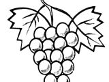 Raisin Dessin Coloriage Raisin Drawing at Getdrawings