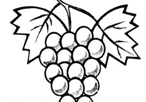 Raisin Dessin Coloriage Raisin Drawing at Getdrawings
