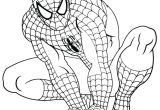 Spiderman A Imprimer Pour Coloriage Coloriage Magique Addition Coloriage Moto Spiderman