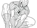Spiderman A Imprimer Pour Coloriage Les 17 Meilleures Images De Spiderman