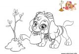 Stella Pat Patrouille Coloriage Coloriage Pat Patrouille Stella Colorier 2 Fleurs