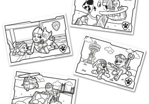 Table De Coloriage Pat Patrouille Acheter Paw Patrol Pupitre Rouleau De Coloriage Loisirs