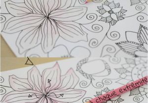 Technique De Coloriage Au Crayon De Couleur 13 Best Diy Coloriages Images On Pinterest