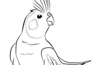 Tête De Cheval Coloriage Les 21 Meilleures Images De Ment Dessiner Un Oiseau