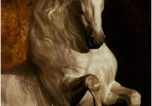 Tête De Cheval Coloriage Les 3352 Meilleures Images De Cheval