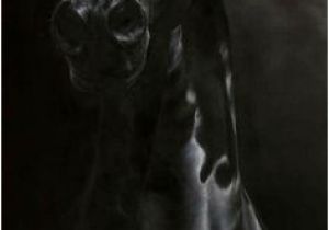 Tête De Cheval Coloriage Les 3352 Meilleures Images De Cheval