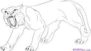 Tigre A Dent De Sabre Coloriage 214 Meilleures Images Du Tableau Coloriages Dinosaures