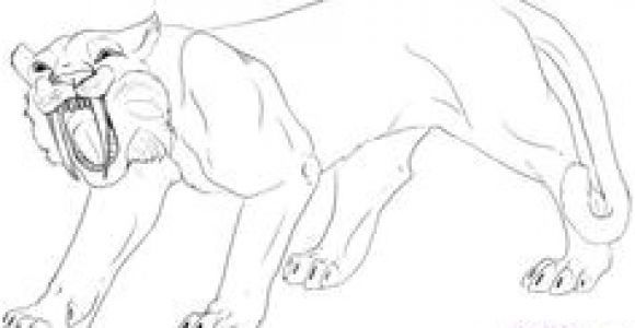 Tigre A Dent De Sabre Coloriage 214 Meilleures Images Du Tableau Coloriages Dinosaures