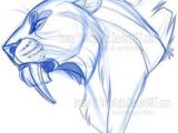 Tigre A Dent De Sabre Coloriage 38 Best Dinosaur Era Images