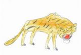 Tigre A Dent De Sabre Coloriage Les 14 Meilleures Images De Dessins D Enfants Children S