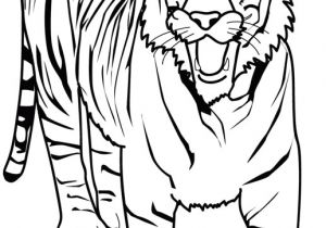 Tigre Coloriage A Imprimer Coloriage A Imprimer Tigre Gratuit Et Colorier