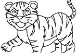 Tigre Coloriage A Imprimer Coloriage Tigre De La Famille Panthera Tigris Dessin