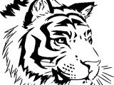 Tigre Coloriage A Imprimer Dessins À Colorier Coloriage Tigre à Imprimer