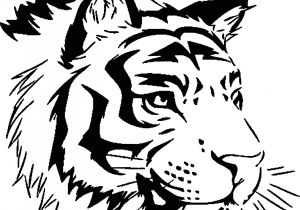 Tigre Coloriage A Imprimer Dessins À Colorier Coloriage Tigre à Imprimer