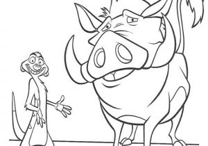 Timon Et Pumba Coloriage Laurent Merc Laurentmercky Sur Pinterest