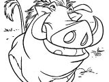 Timon Et Pumba Coloriage Lion King Timon and Pumbaa Coloring Page
