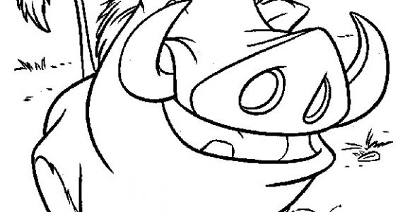 Timon Et Pumba Coloriage Lion King Timon and Pumbaa Coloring Page