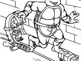 Tortue Ninja Coloriage Gratuit épinglé Par Bourrie Marie Sur Bricolage