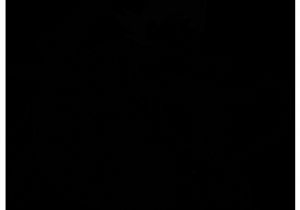 Tous Les Coloriages De Dragon Ball Z Facile Dragon Ball Goku Sur Le Dos Du Dragon Shenron