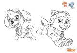 Tous Les Coloriages En Ligne Coloriages Pat Patrouille tous Les Heros