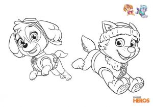 Tous Les Coloriages En Ligne Coloriages Pat Patrouille tous Les Heros