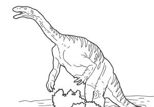 Tyrannosaure Dessin Coloriage Dessins De Dinosaures   Colorier