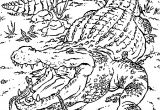 Vie De Prof Coloriage Dessin Crocodiles A Colorier