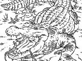 Vie De Prof Coloriage Dessin Crocodiles A Colorier
