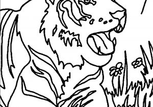 Www Hugo L Escargot Coloriage 38 Superbe Mod¨le Coloriage Inazuma Eleven Hugo L Escargot